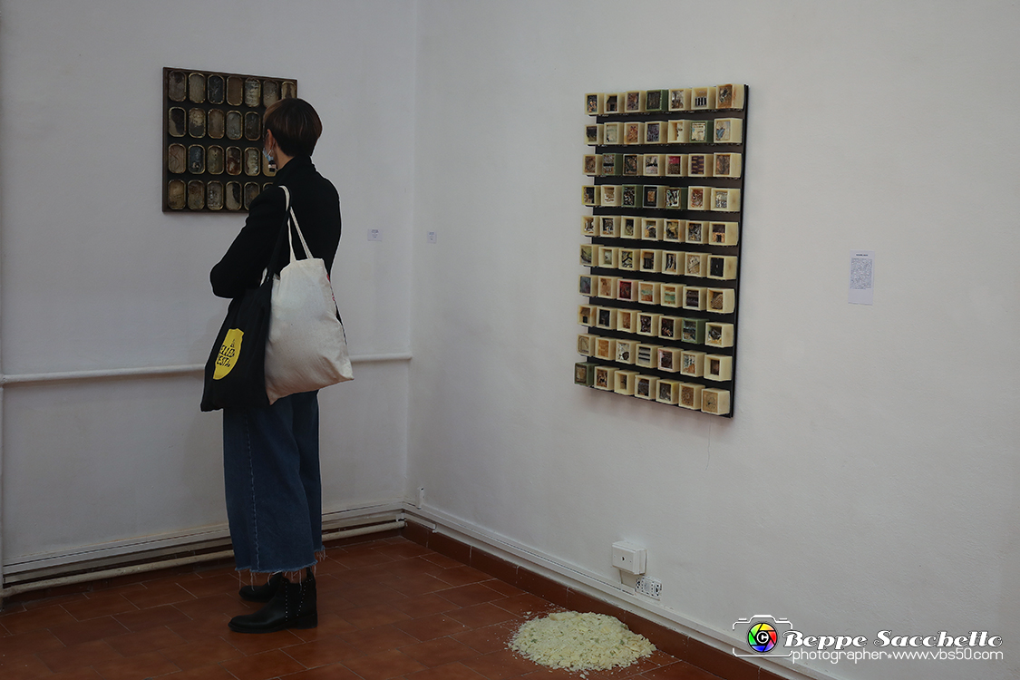 VBS_4128 - Paratissima 2021 - 17.ma Edizione.jpg